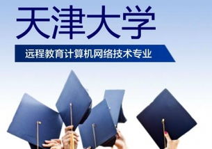 天津大學(xué)遠(yuǎn)程教育計(jì)算機(jī)網(wǎng)絡(luò)技術(shù)專業(yè) 網(wǎng)絡(luò)遠(yuǎn)程技術(shù)教育探索